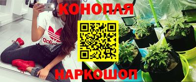 сатива Балаково