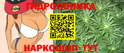 прущие грибы Балашиха