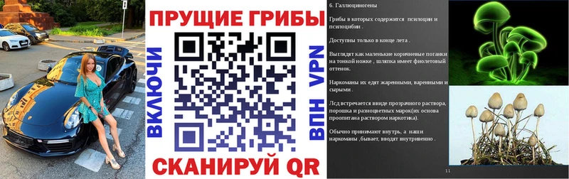 цены   Волгоград  Псилоцибиновые грибы мухоморы 