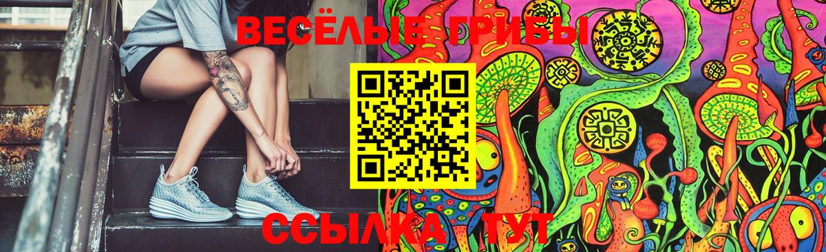 Галлюциногенные грибы мицелий  Галлюциногенные грибы Psilocybe  Волгоград  Вход с VPN 