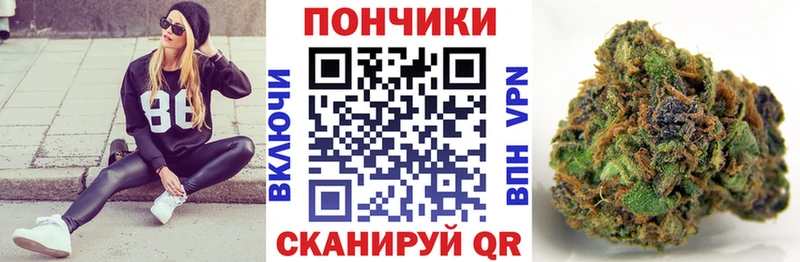 Бошки марихуана марихуана  Волгоград 